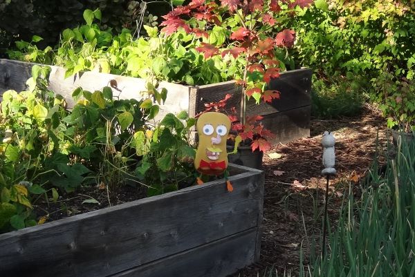 DSC09342_sd_fall_2025.jpg (79396 bytes)