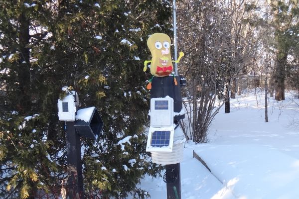 sd_jan_2026.jpg (75932 bytes)